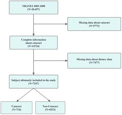 The impact of vitamin E, vitamin B6, and niacin intake on cataract incidence based on NHANES 2005-2008 data